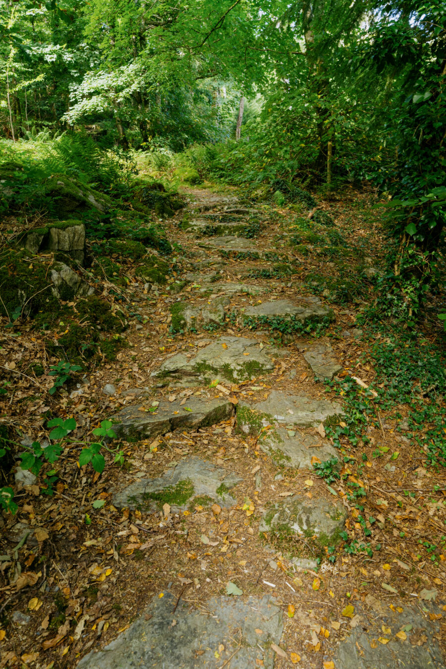 Steps along the trail