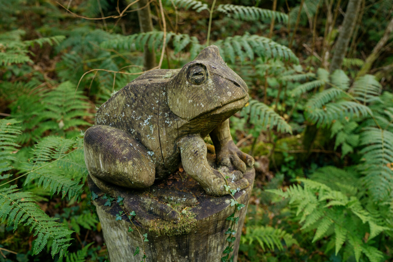 Frog sculpture
