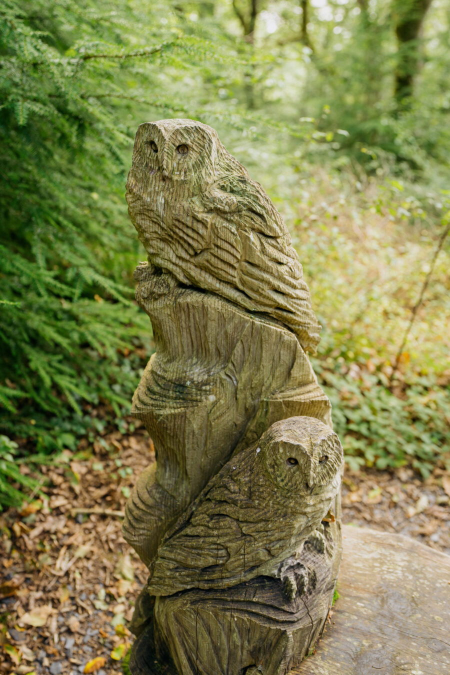 Owls sculpture