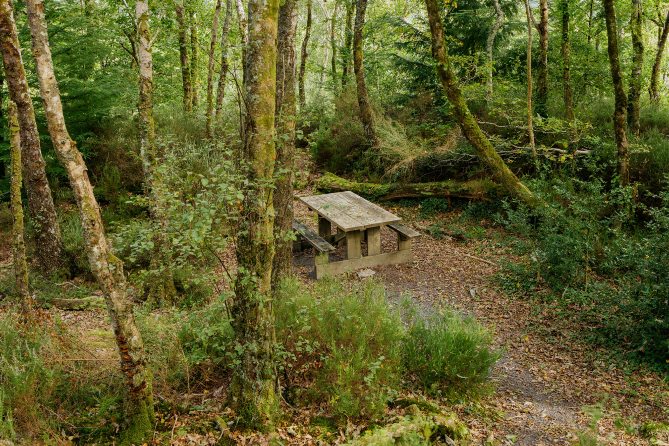 Picnic table