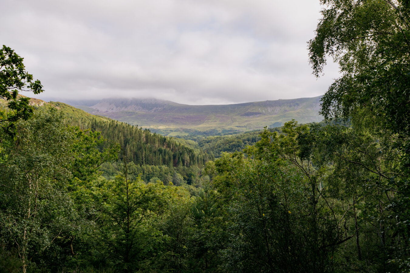 View of Cadair Idris