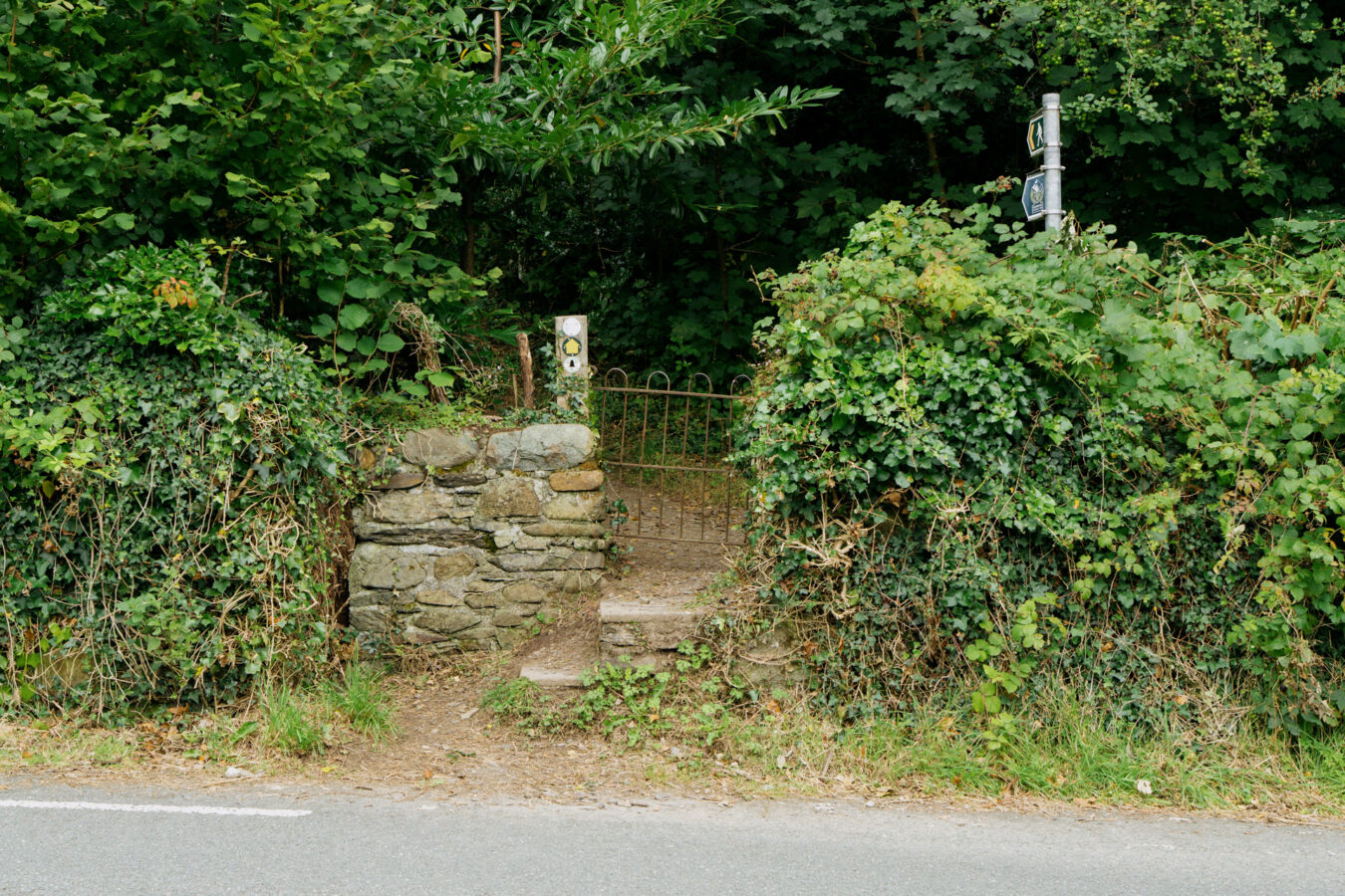 Gate and entrance to the woods in Arthog
