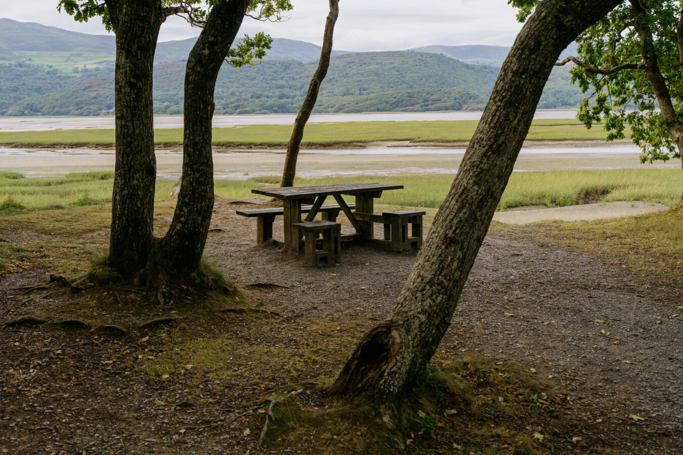 Picnic table among trees by the river