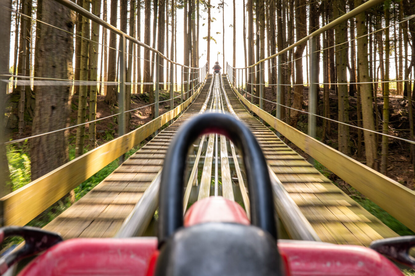 Forest coaster, Zip World, Betws-y-Coed