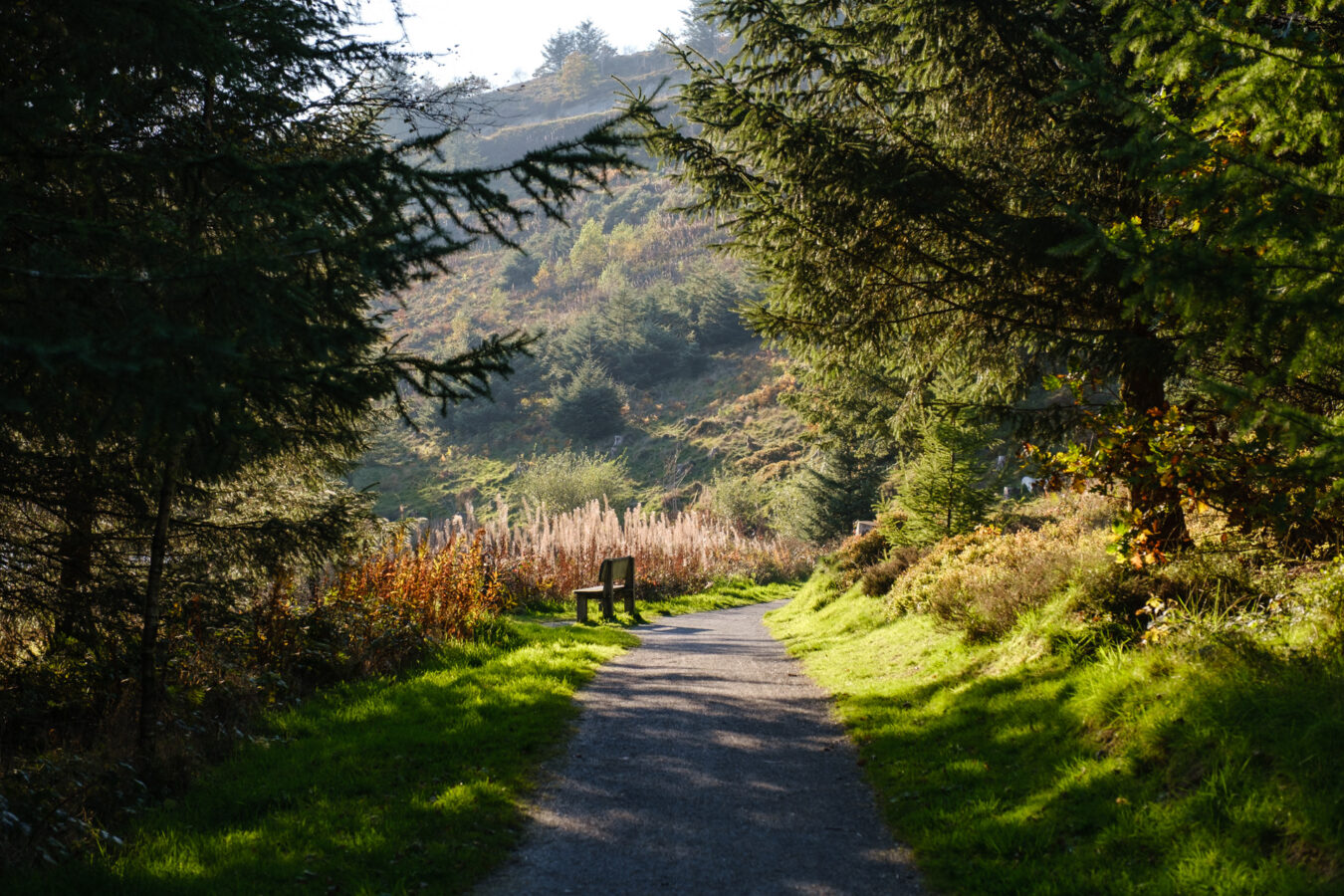 Walking trail in Bwlch Nant yr Arian