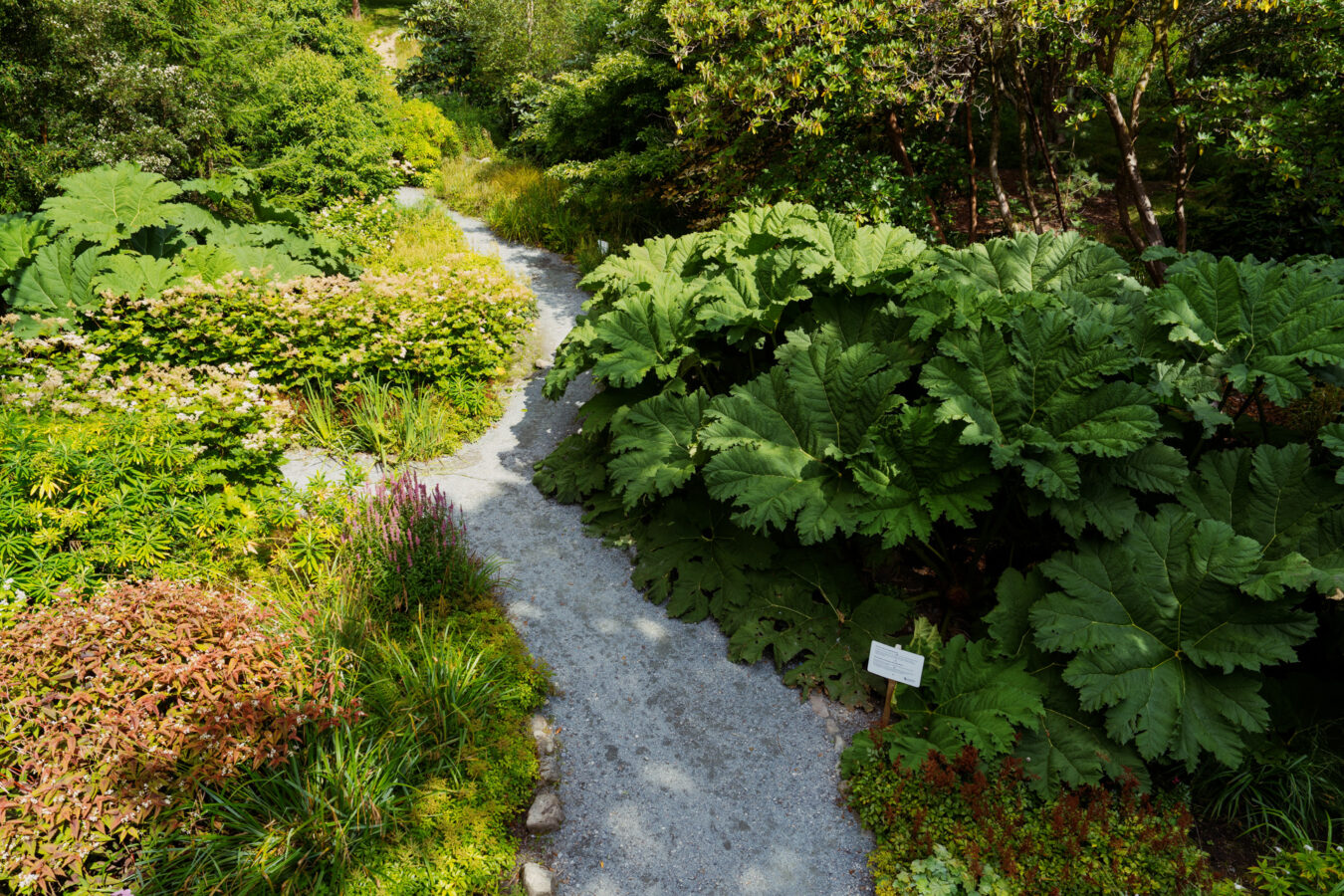 Clyne Gardens, Mumbles
