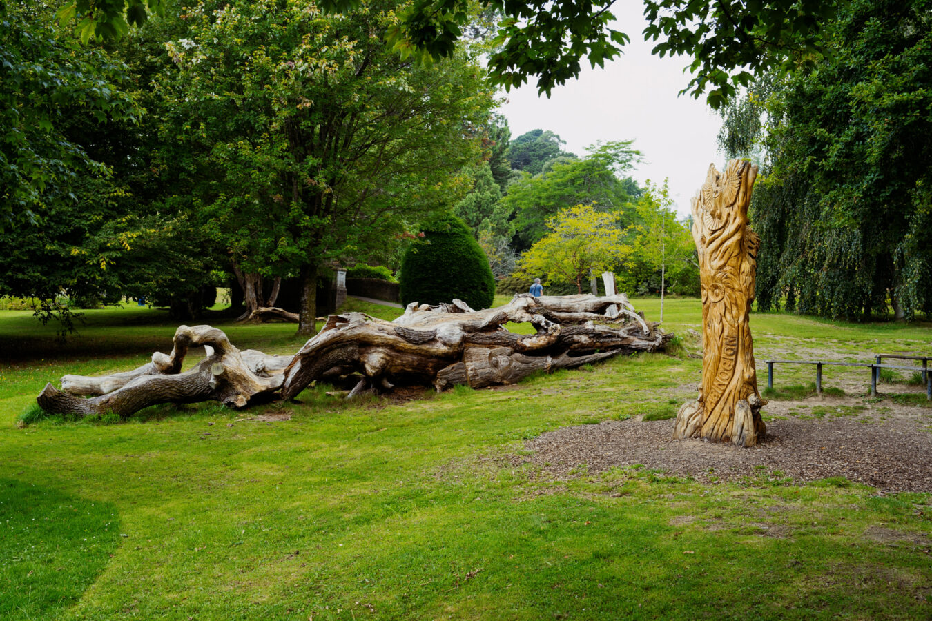 Wooden sculptures in Clyne Gardens