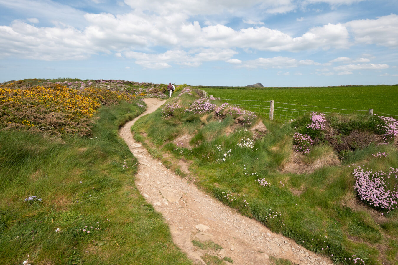A section of the Wales Coast Path in Pembrokeshire
