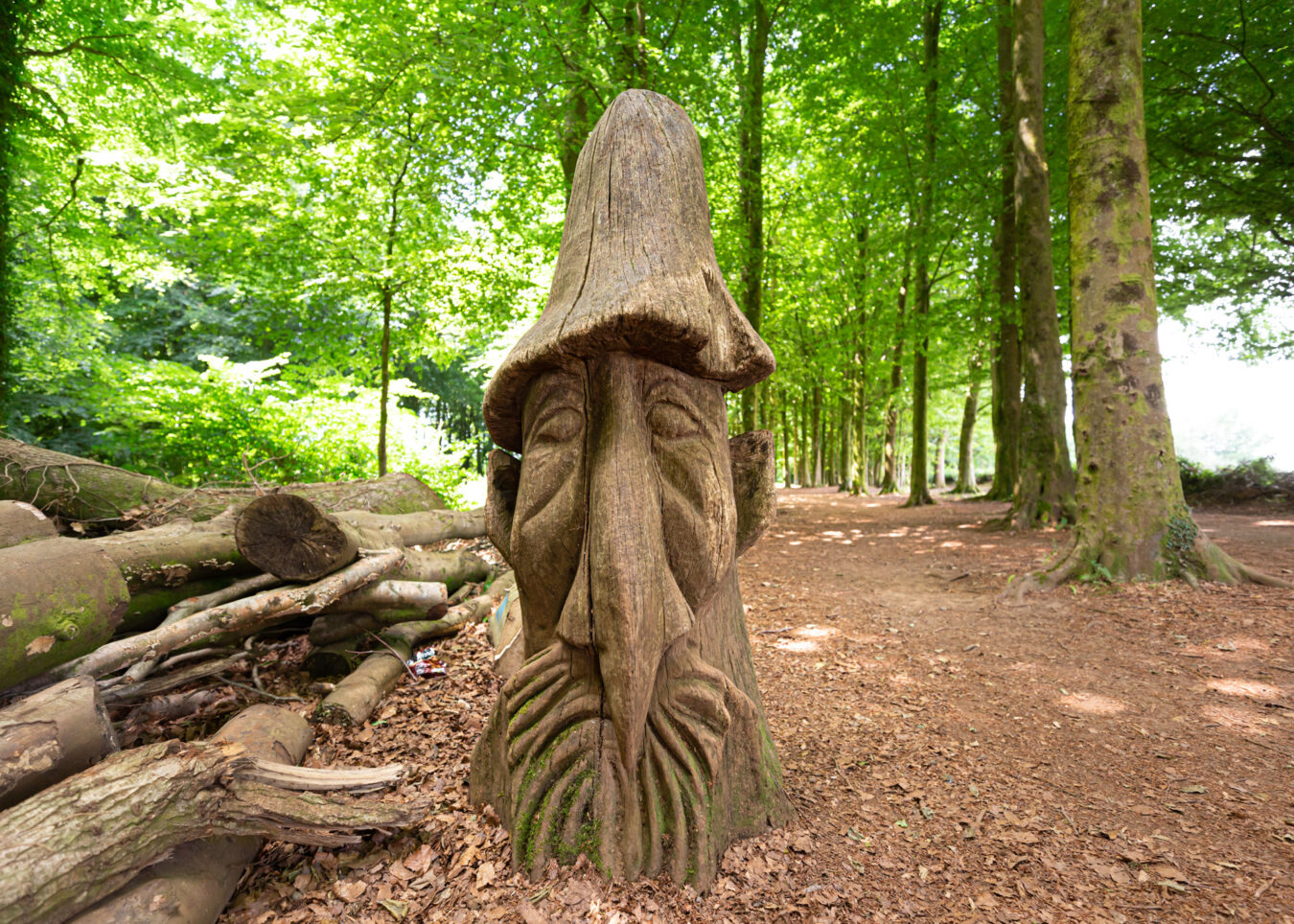 Wood sculpture in Fforest Fawr