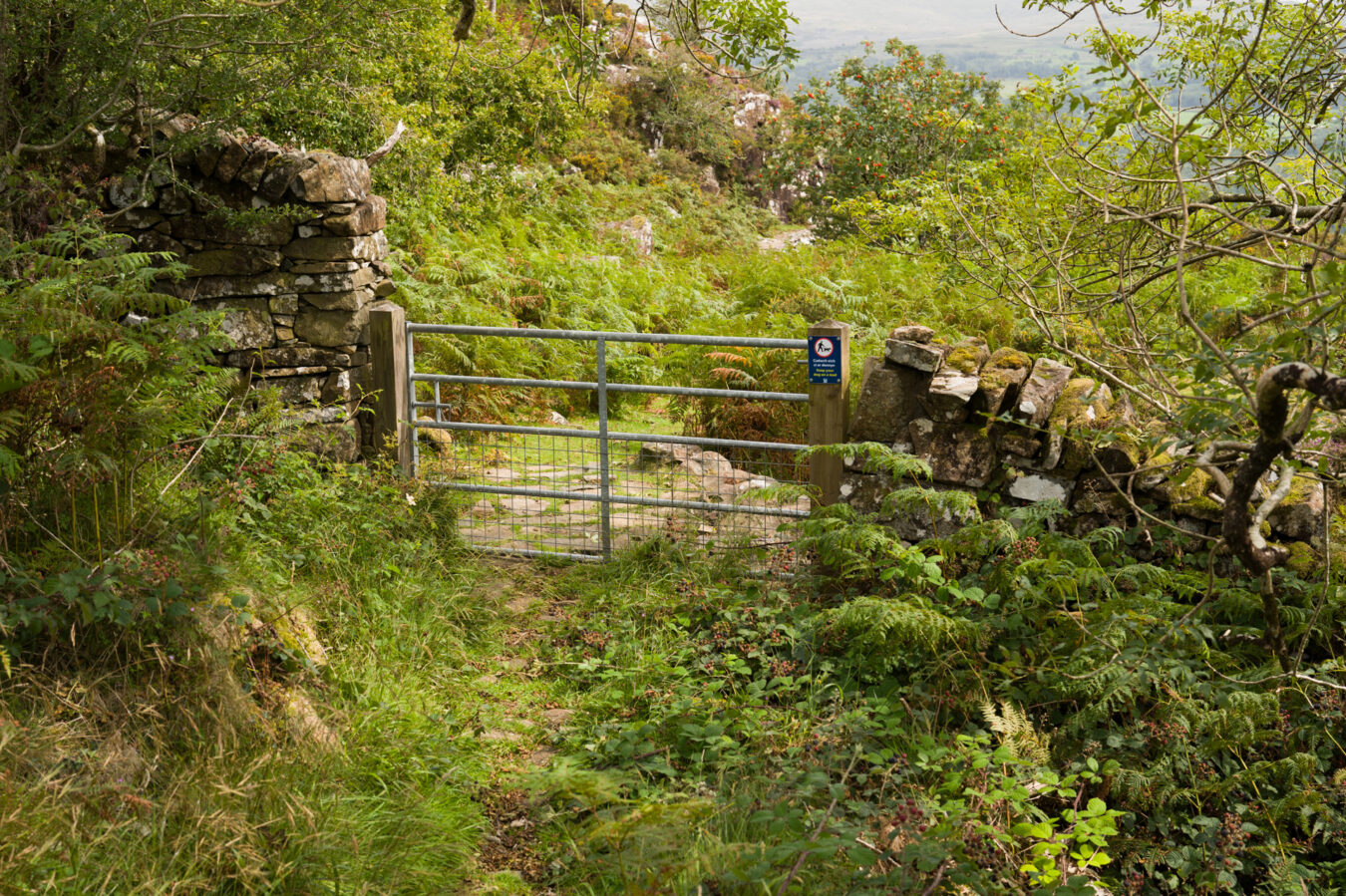 Wide gate