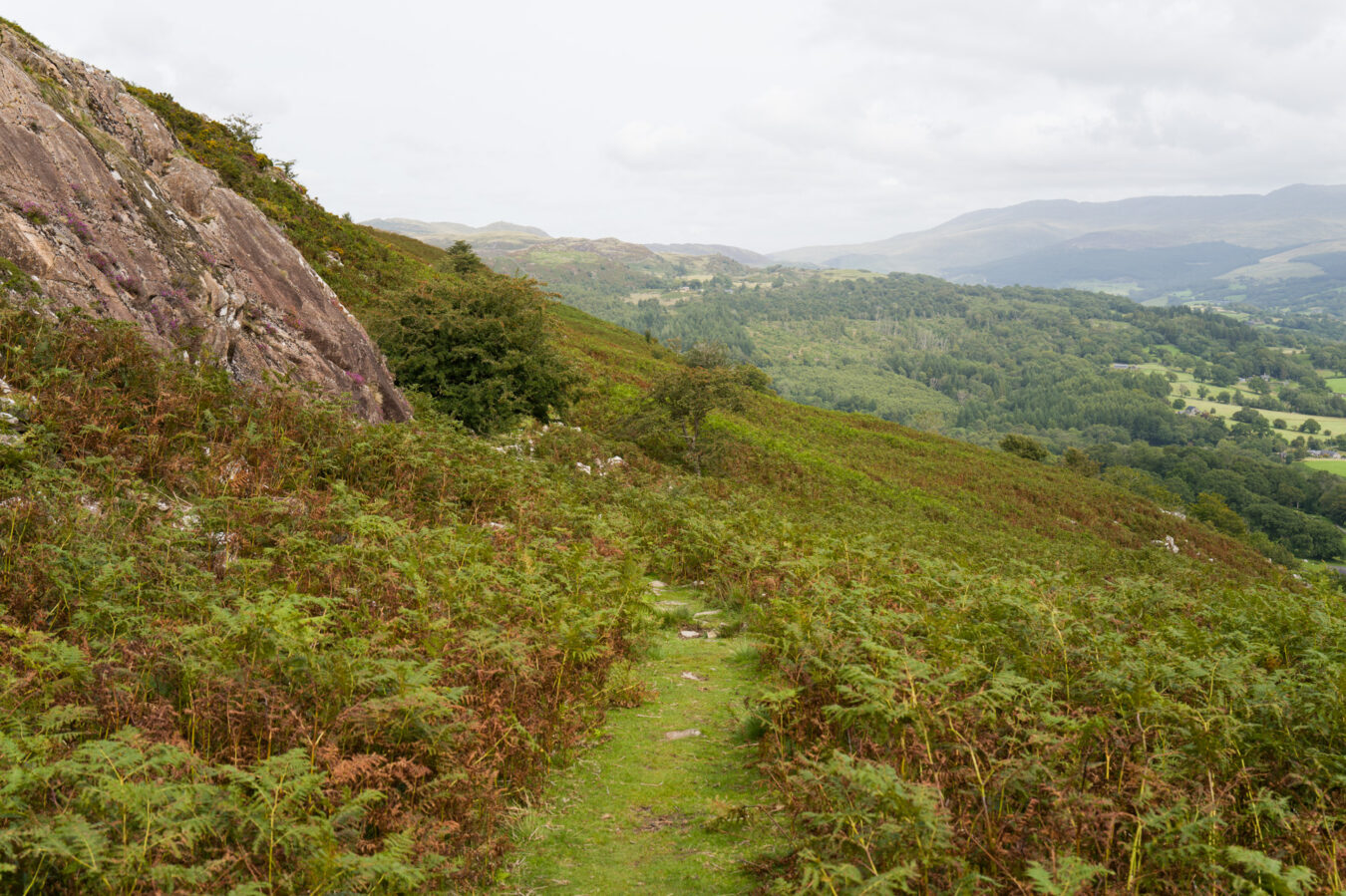 Path narrowing and going down