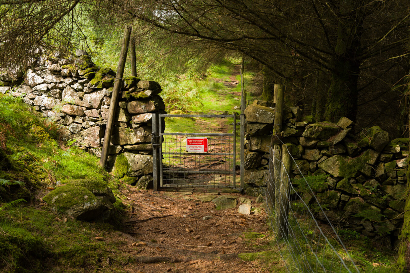 Gate by the woodland