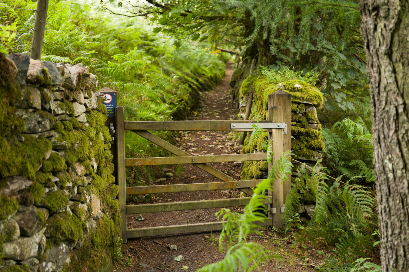 Gate