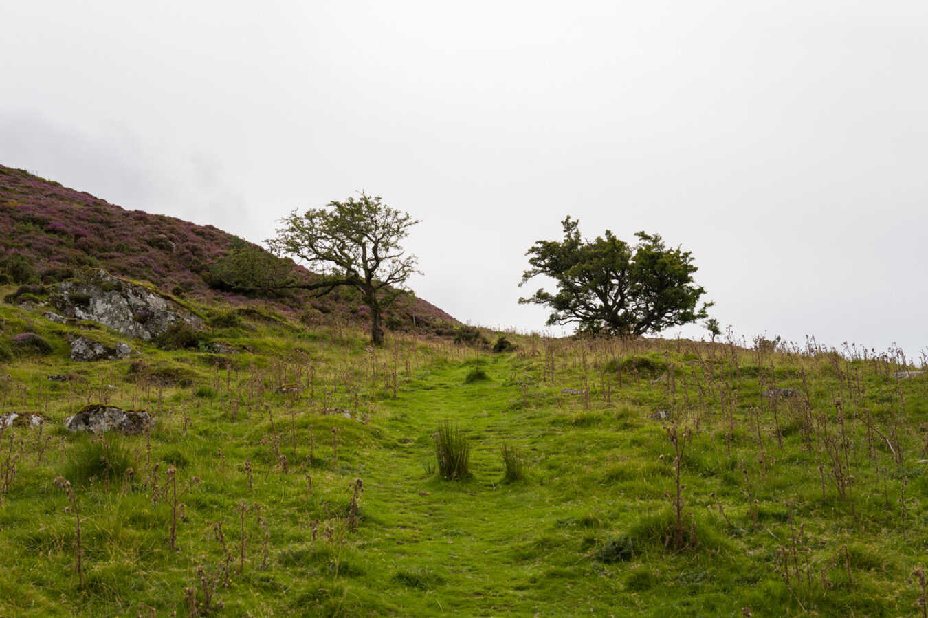 Steep path going up