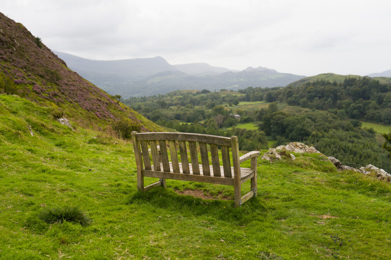 Bench with a view mid-way