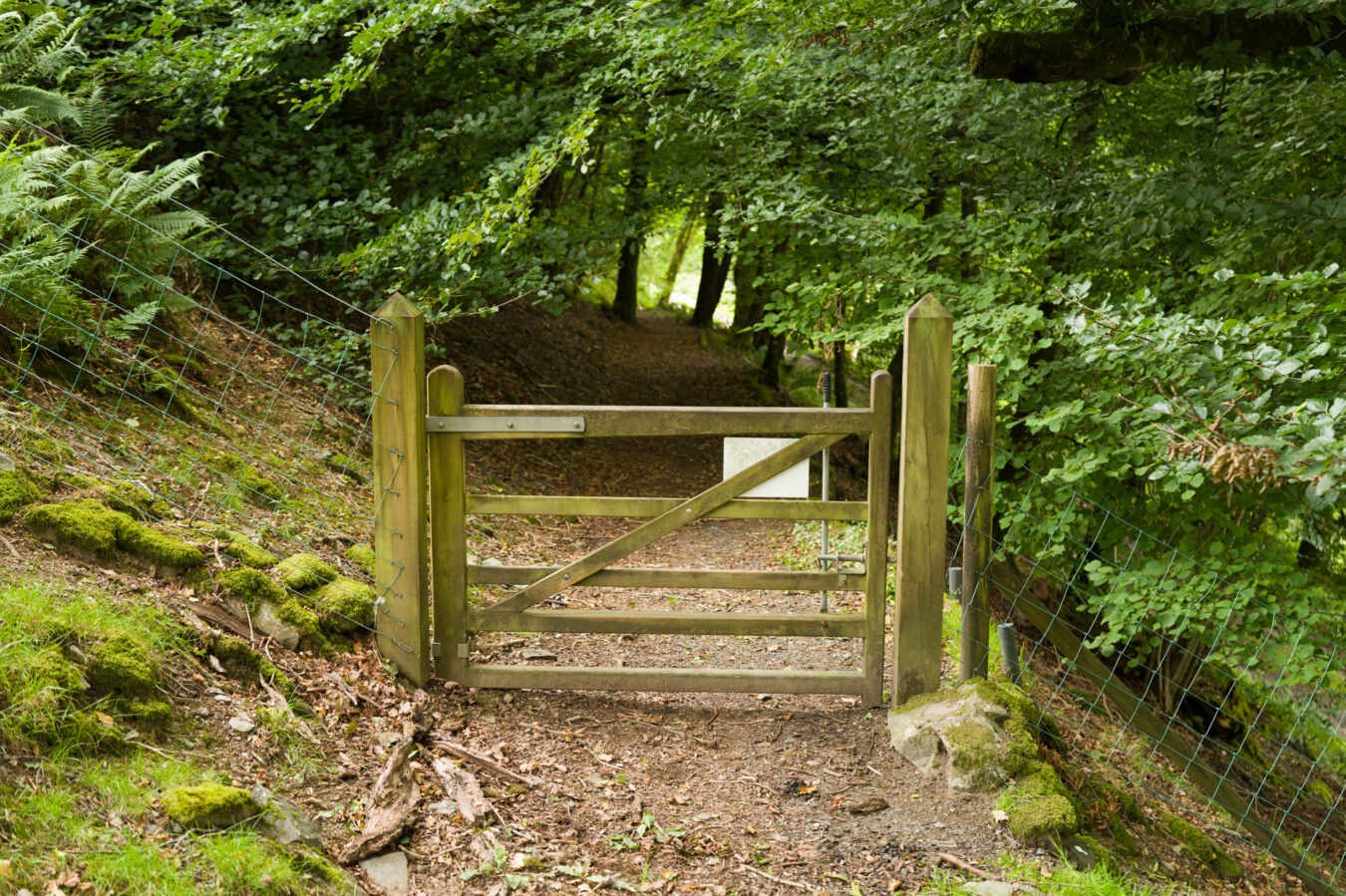 Gate at the beginning of the woodland