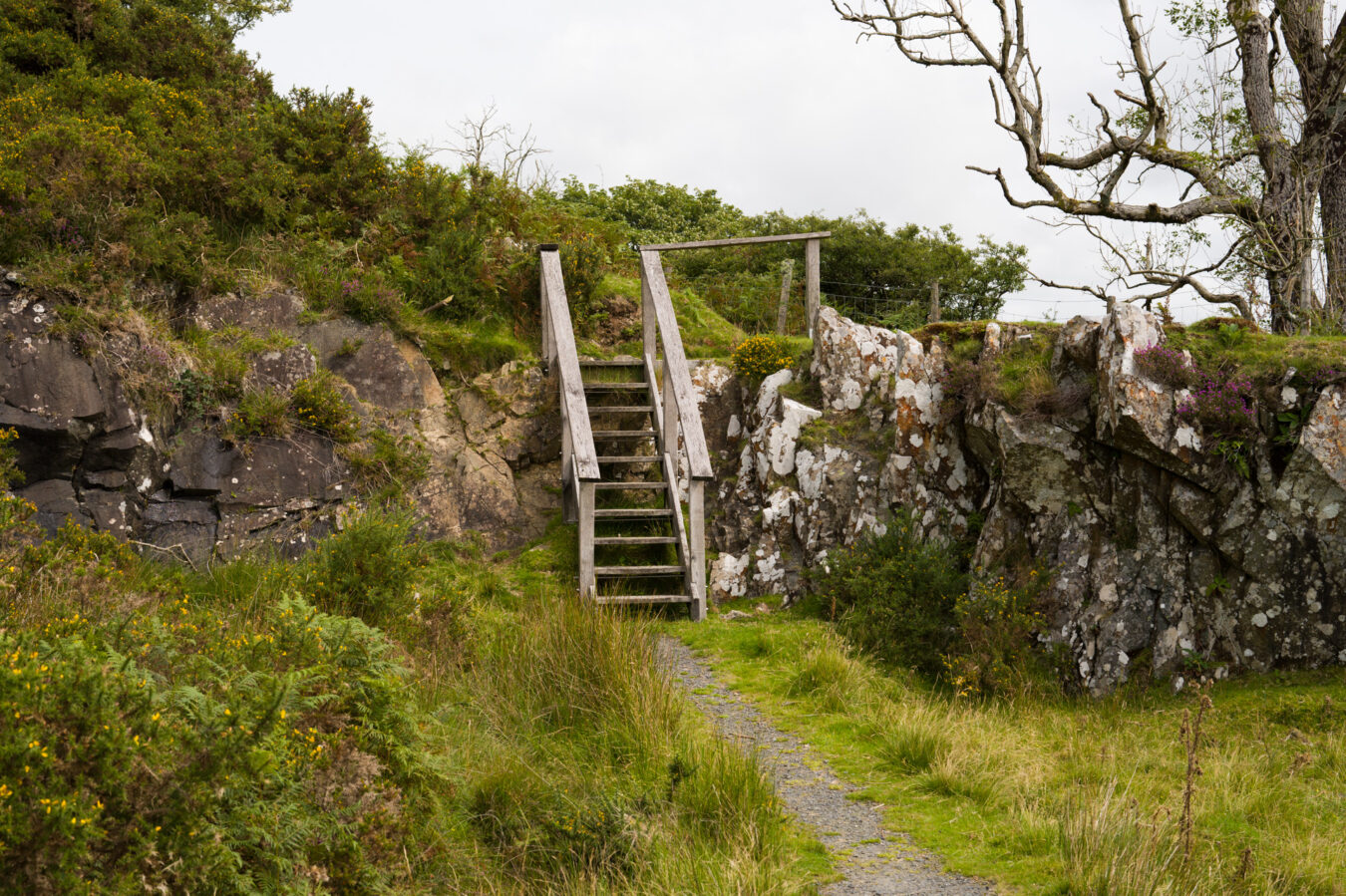 Steps