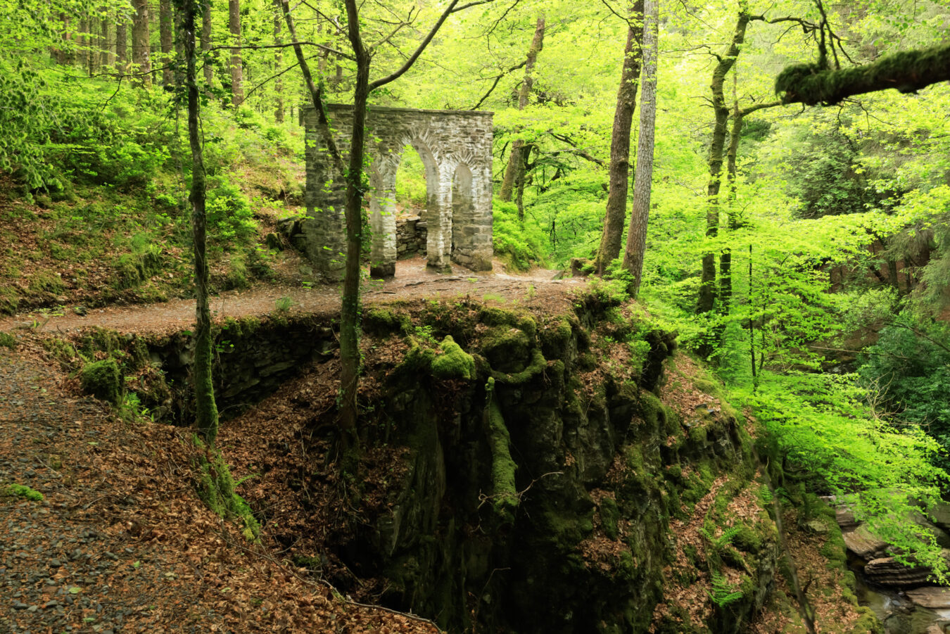 Gothic Arch, Hafod Estate
