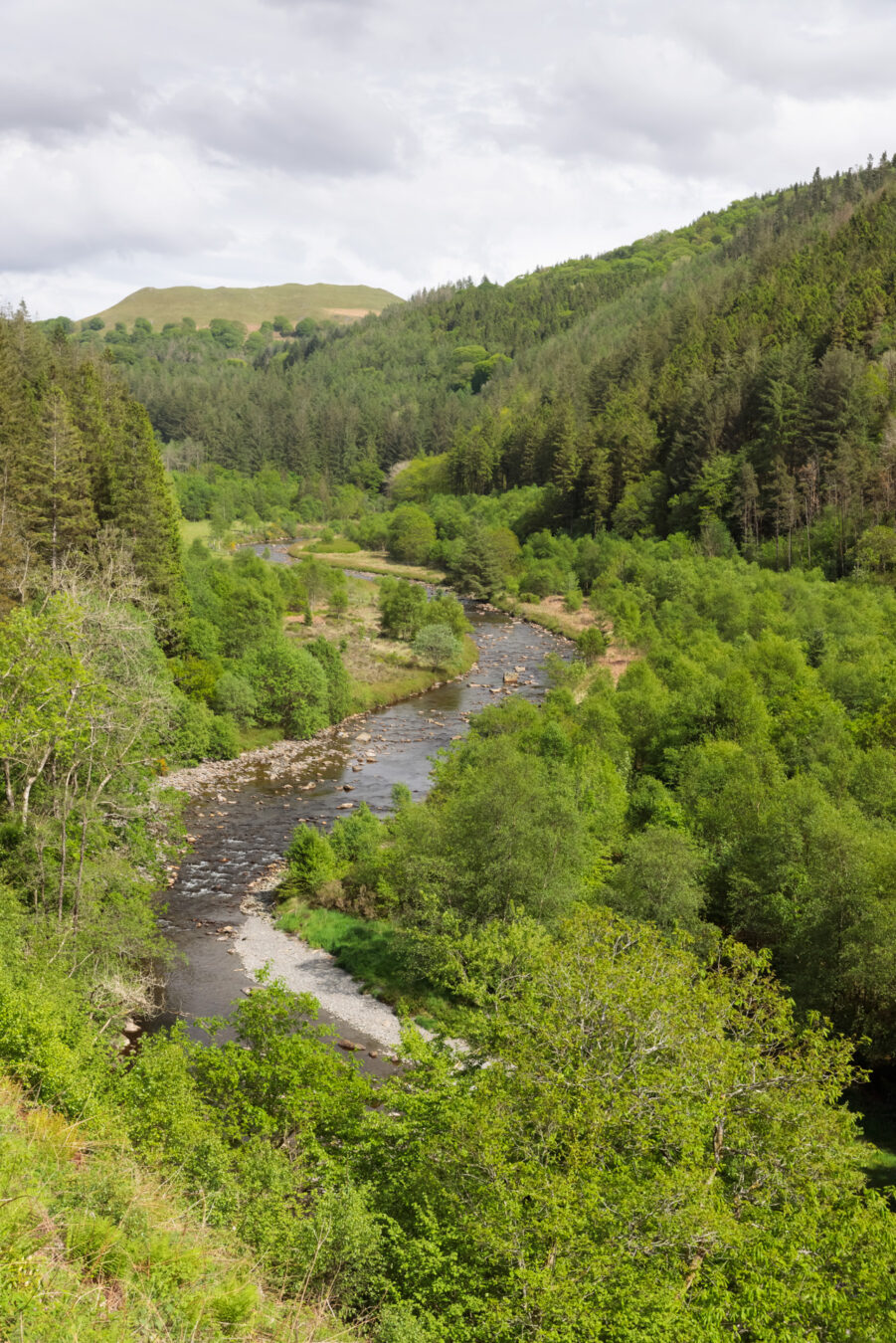 Afon Ystwyth, Hafod Estate