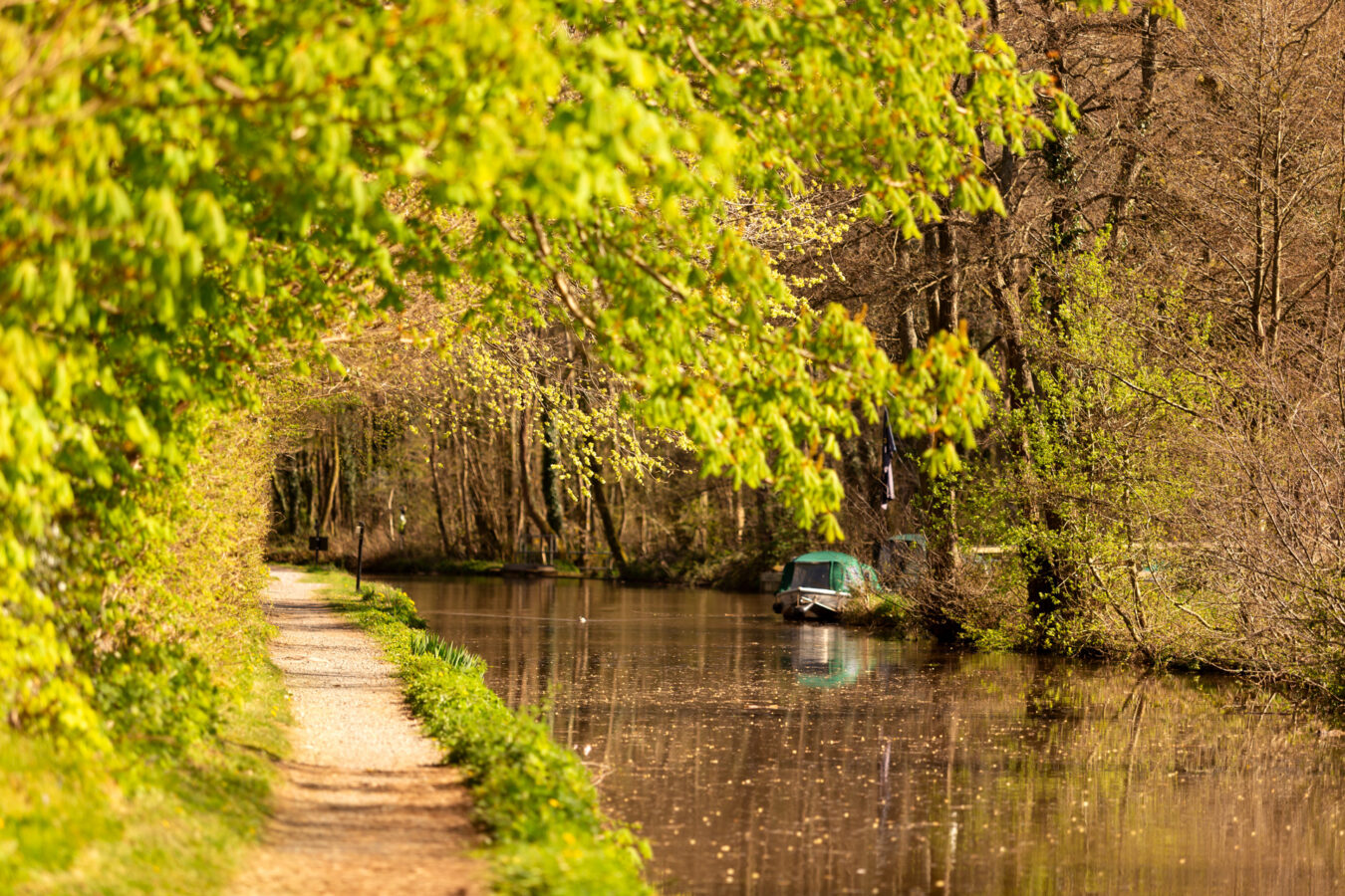 View of the Monmouthshire and Brecon Canal with autumn colours