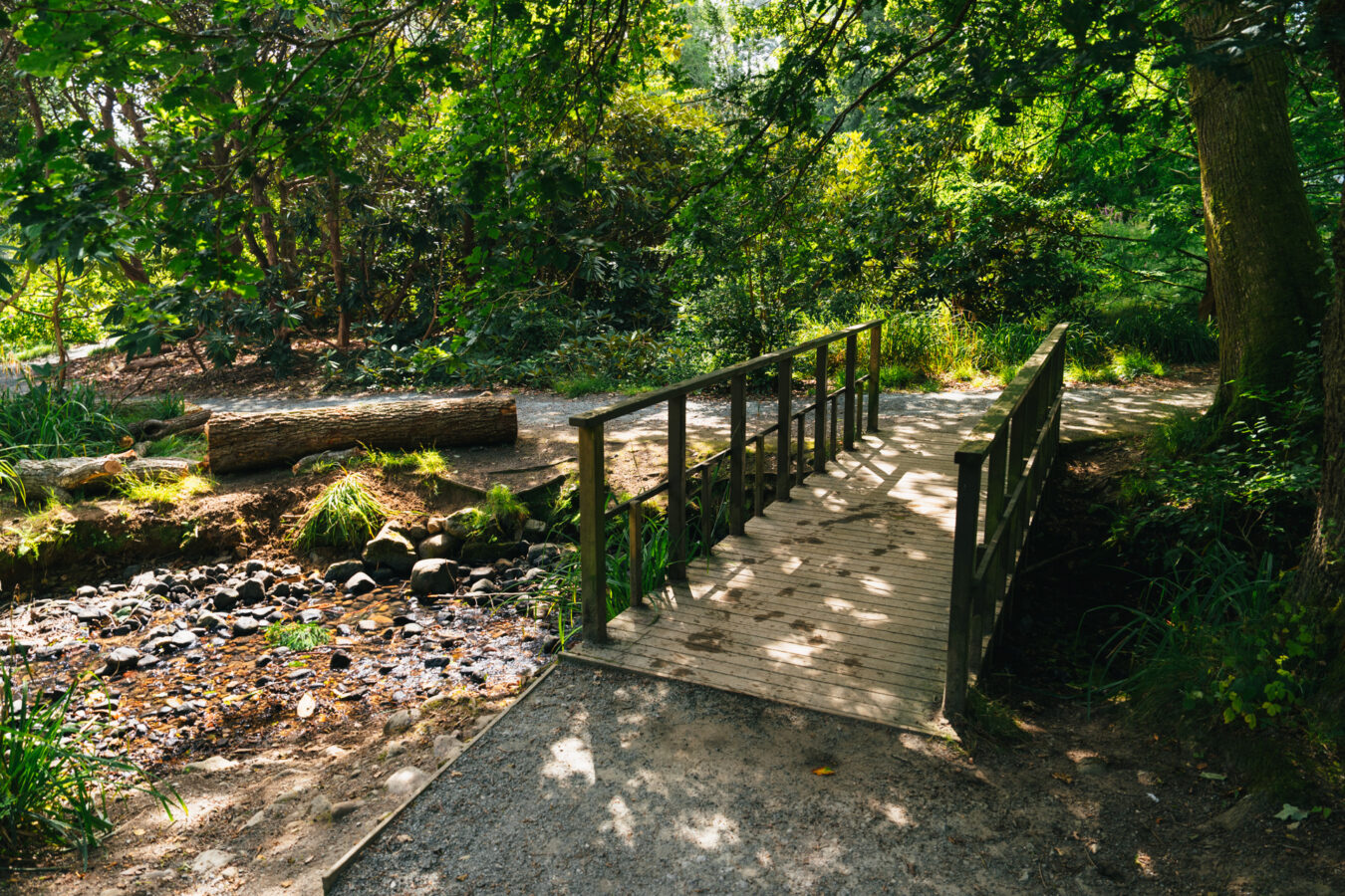 Picturesque bridge in the Clyne Gardens, Mumbles