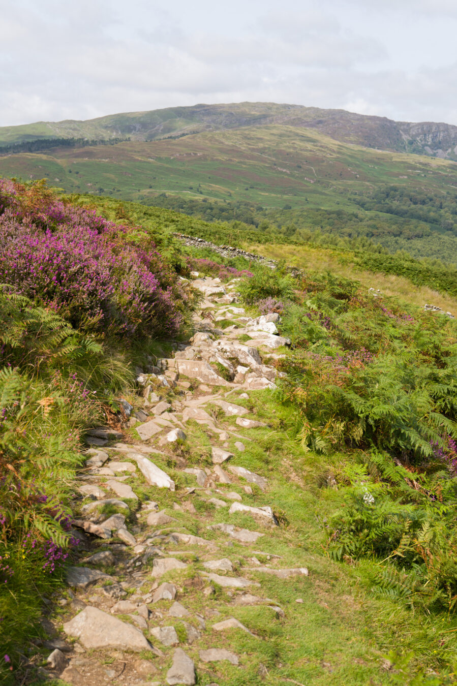 Rocky section of the path
