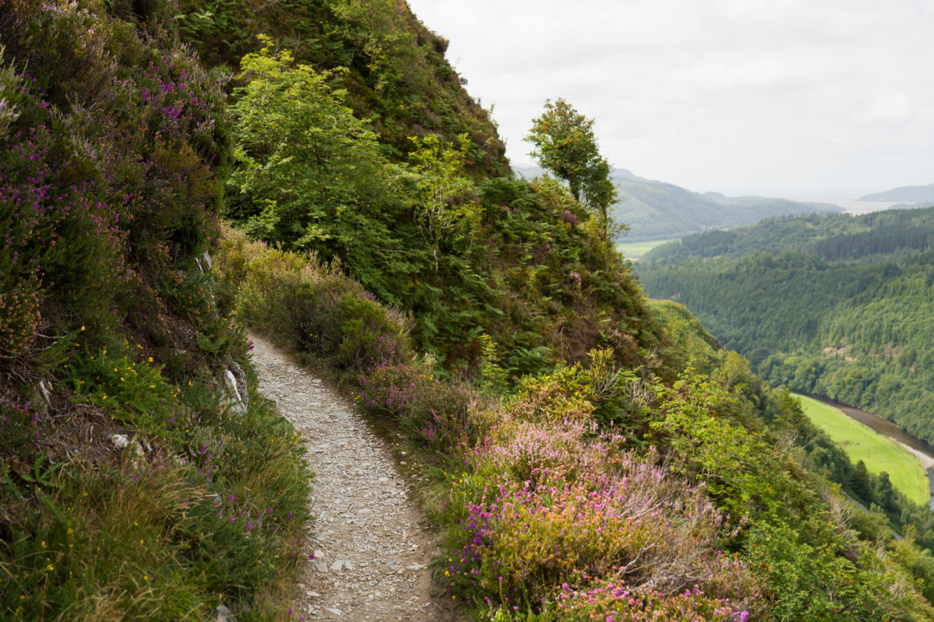 Narrow section of the path