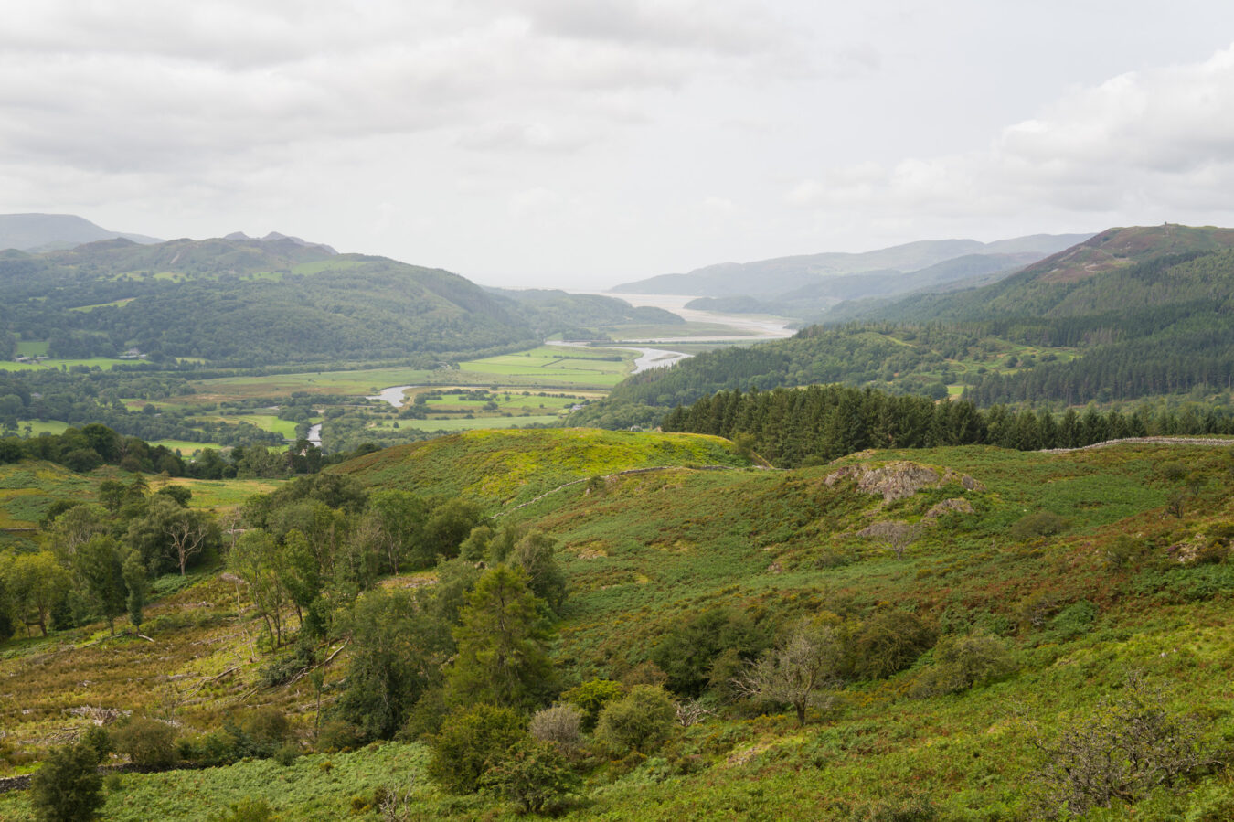 View of the Mawddach estuary