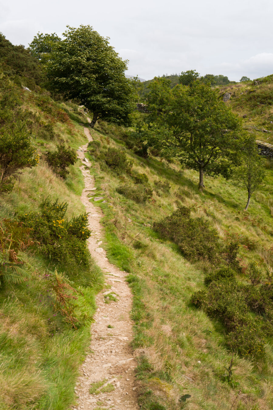 Narrow path going down