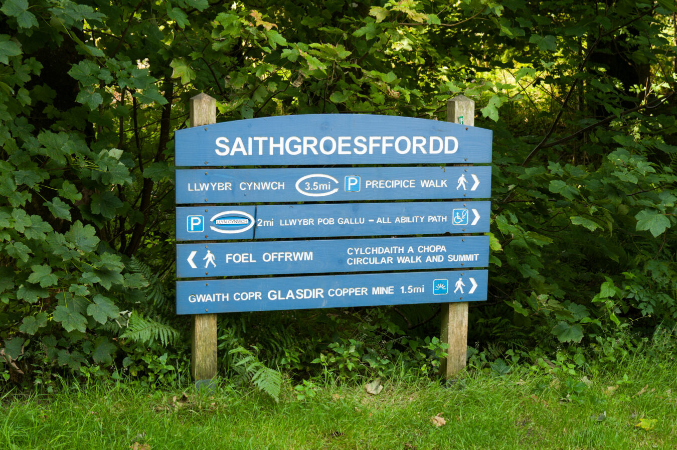 Precipice Walk sign with direction for various trails