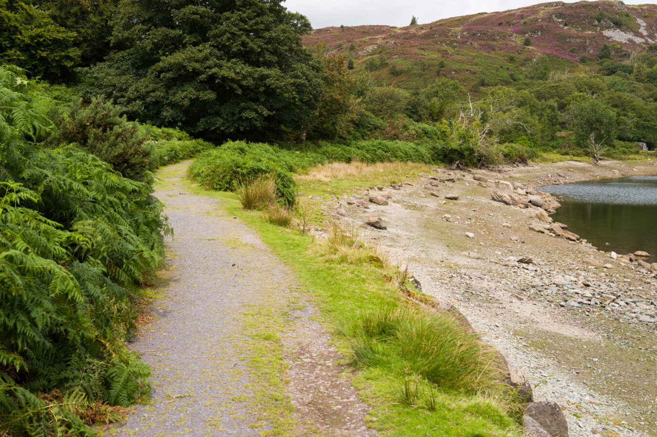 Trail around the lake