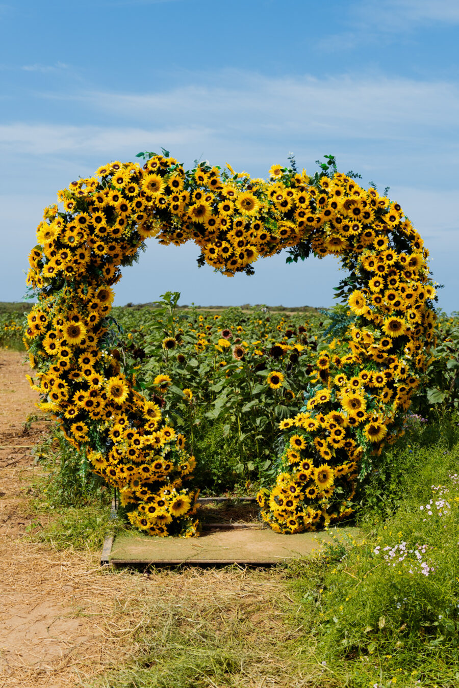 Giant heart made of sunflowers at Rhossili