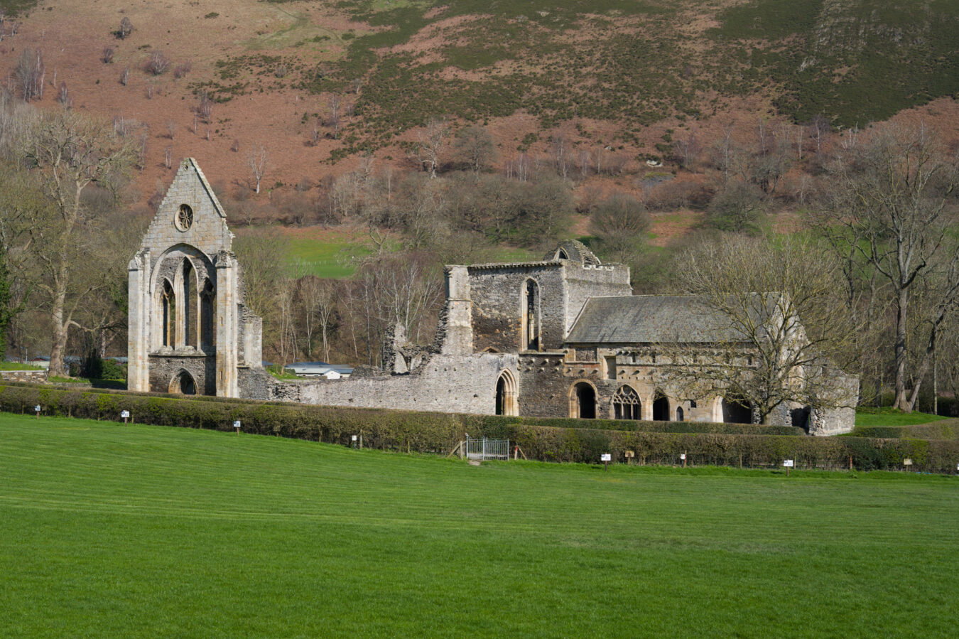 Valle Crucis Abbey
