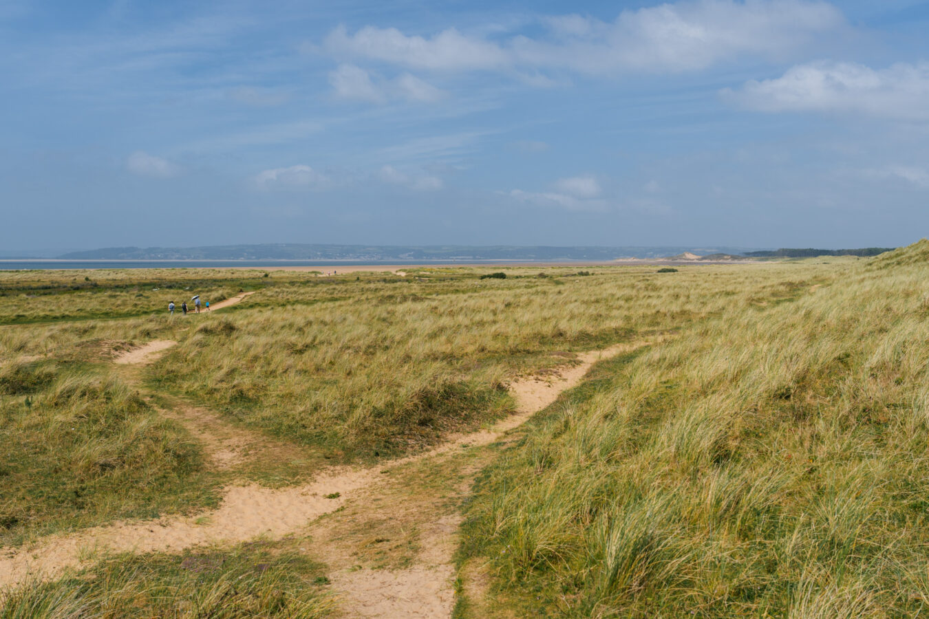 Sand and grass leading to the beach