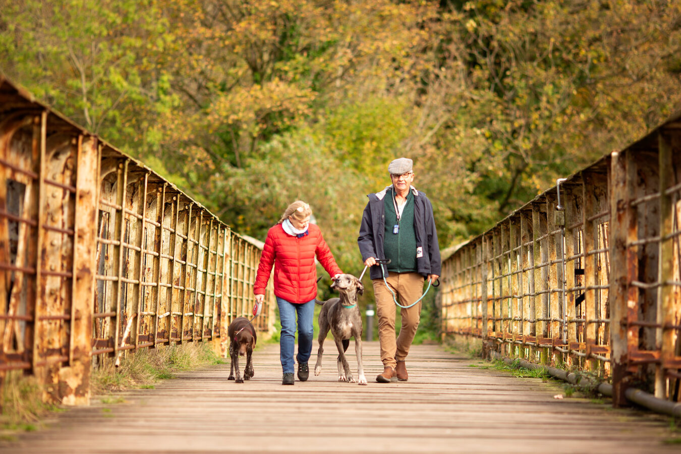 Old couple with dogs walking on a bridge