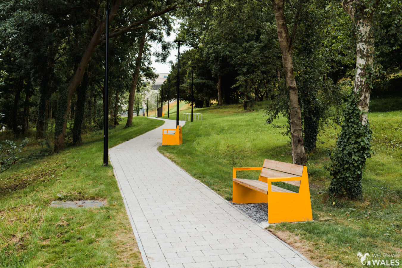 Park with yellow benches and tree
