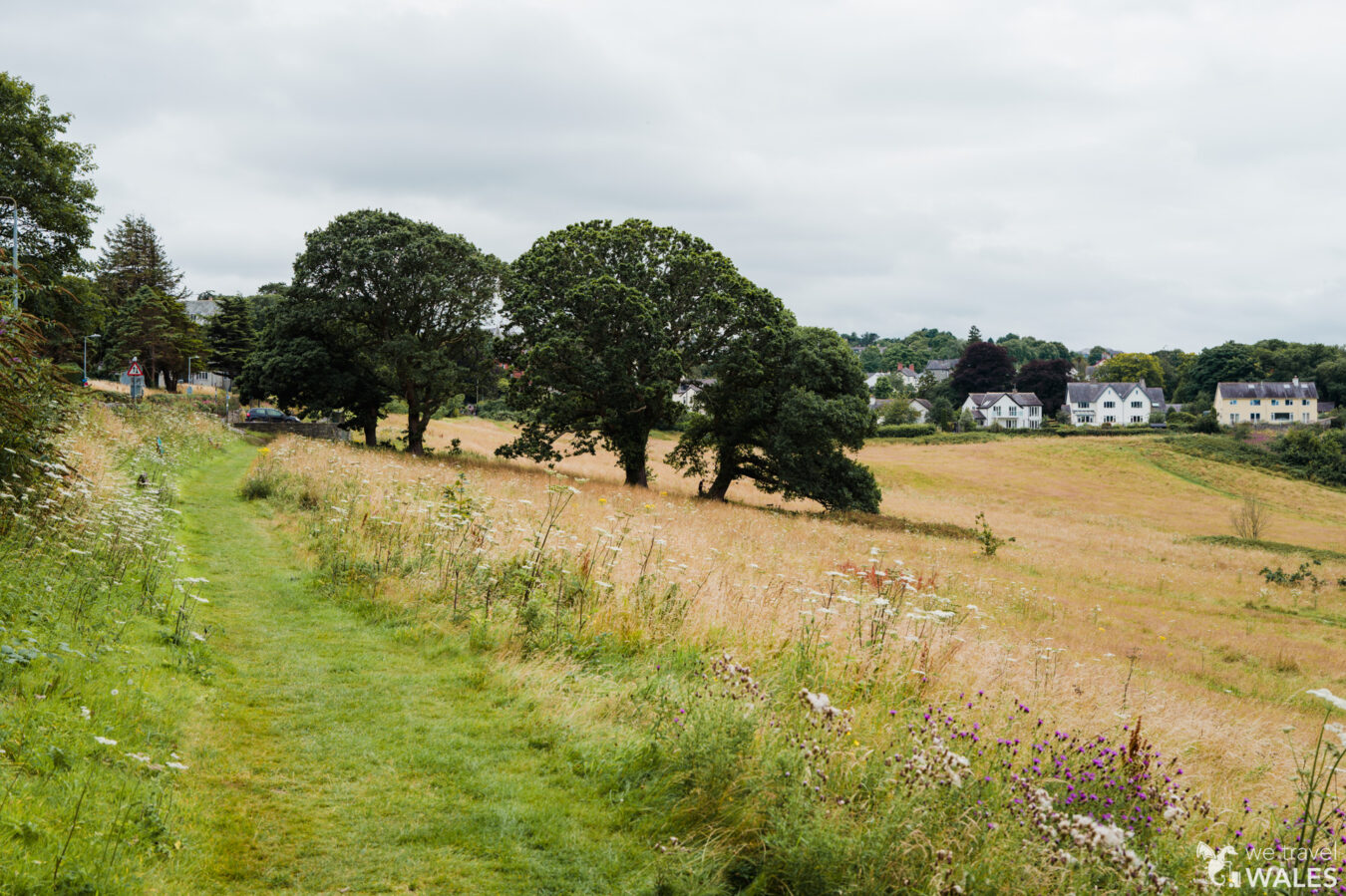 Path leading to the Eisteddfod stones