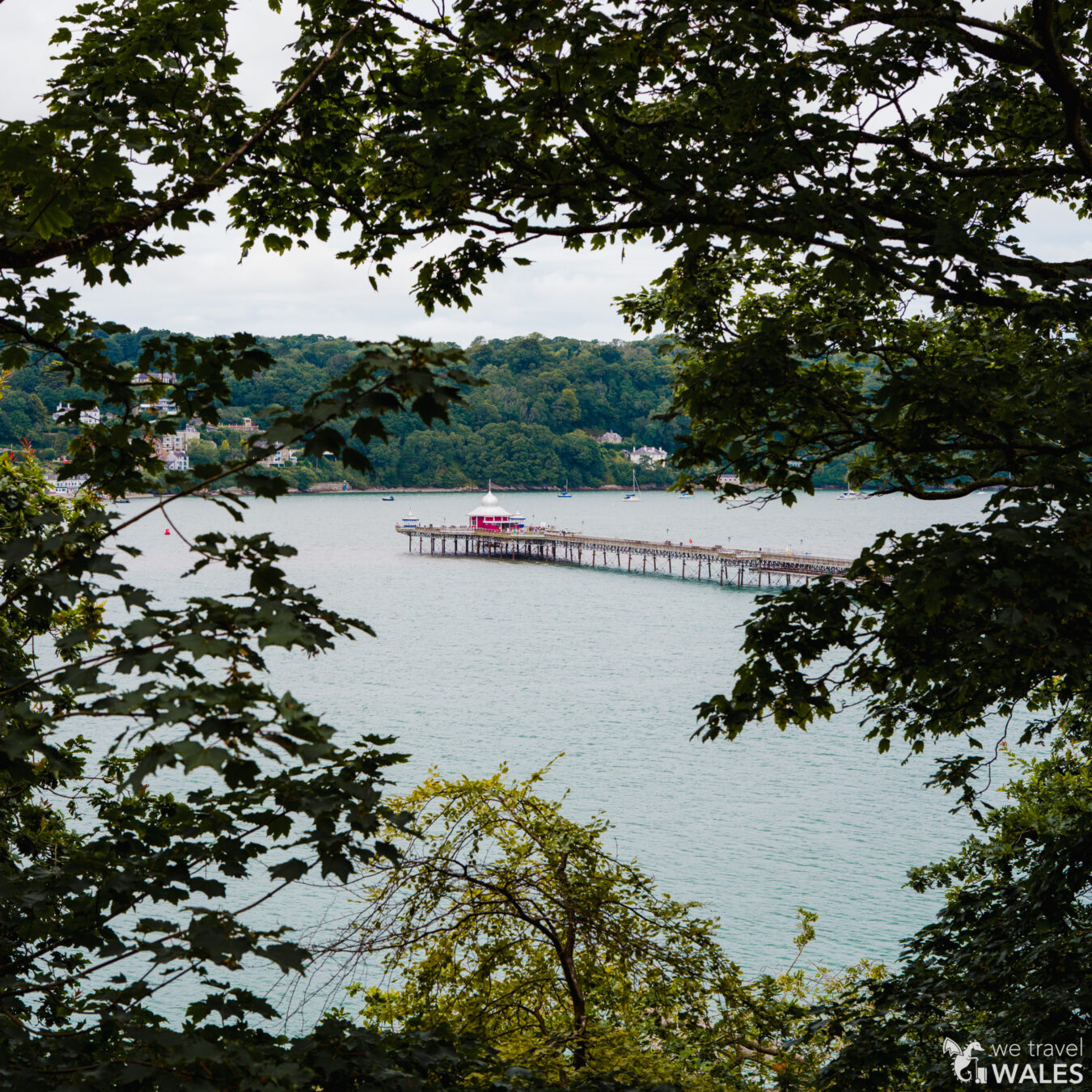 Bangor Pier in the distance with tree leaves in the foreground