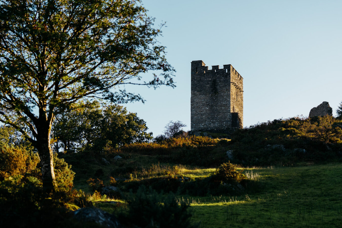 Castell Dolwyddelan in the distance with tree in the foreground