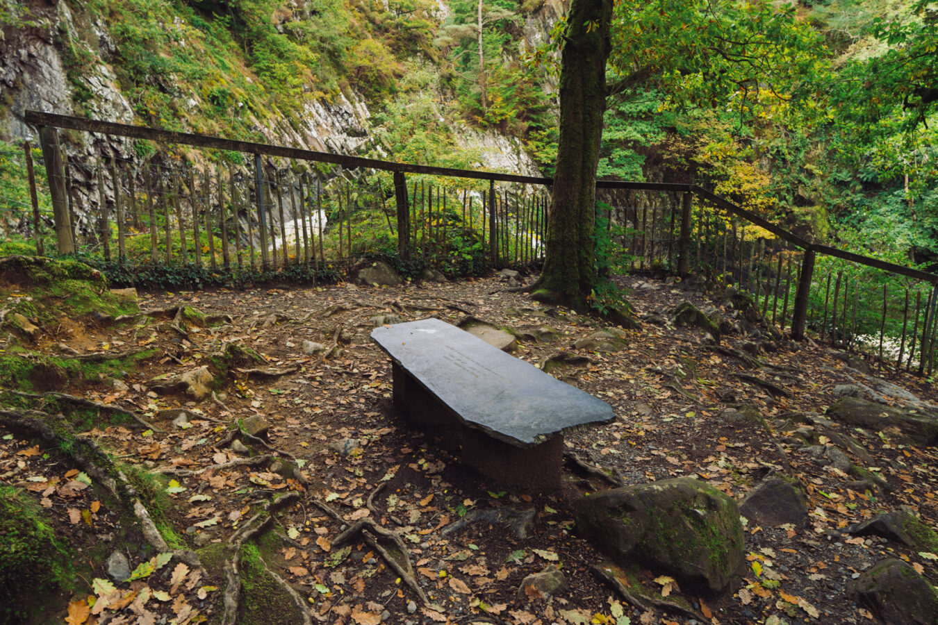 Viewpoint with bench at Conwy Falls