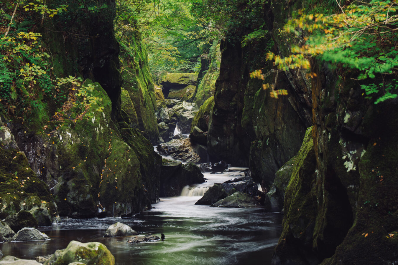 Fairy Glen, Betws-y-Coed
