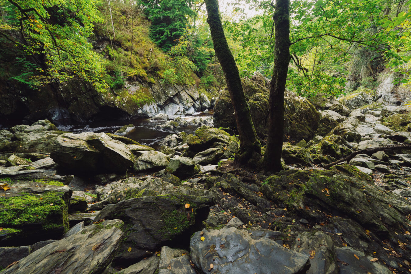 Fairy Glen, Betws-y-Coed