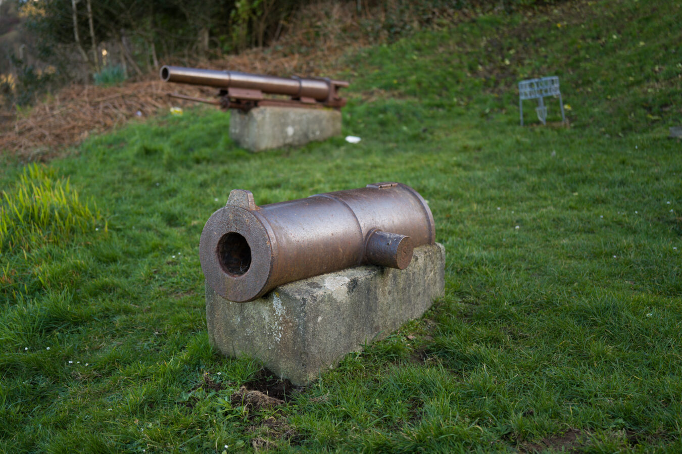 Old cannons