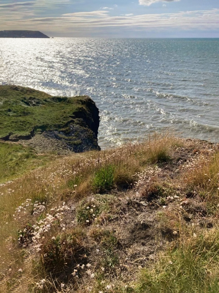 View of the coastline