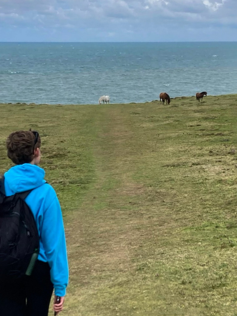 Hiker looking at ponies in the distance, with sea in the background