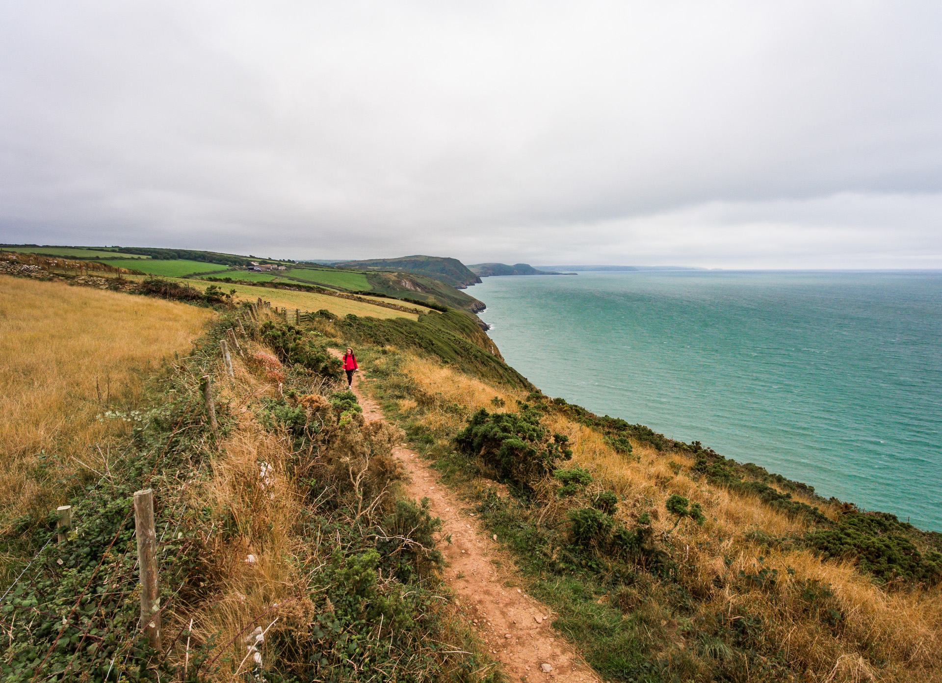 Path along the Ceredigion Coast Path, between New Quay and Cwmtydy