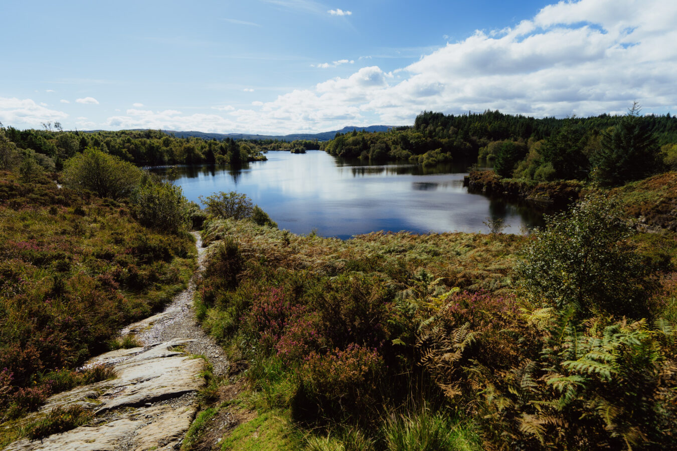 Viewpoint of Llyn Elsi