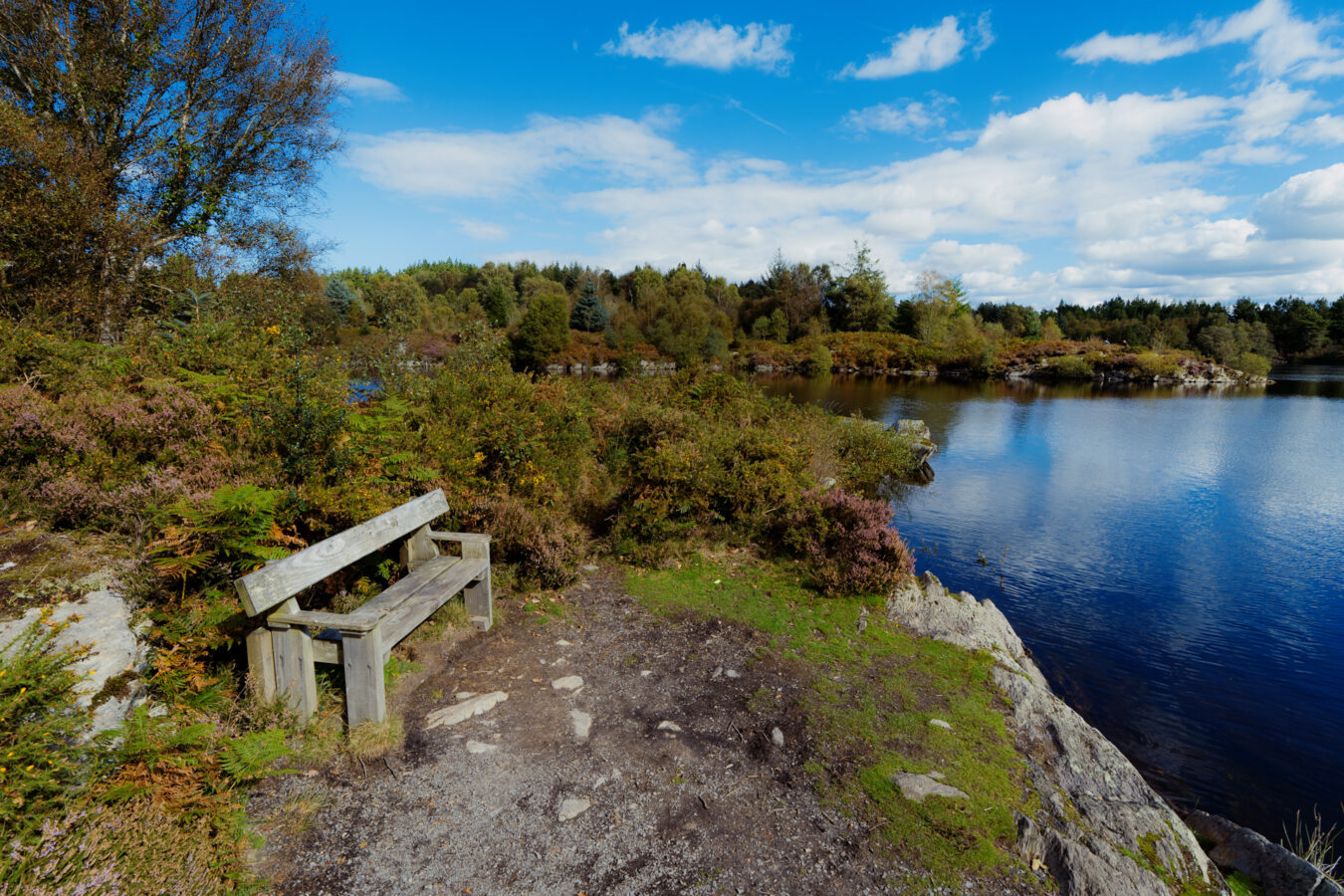 Bench by the water at Llyn Elsi