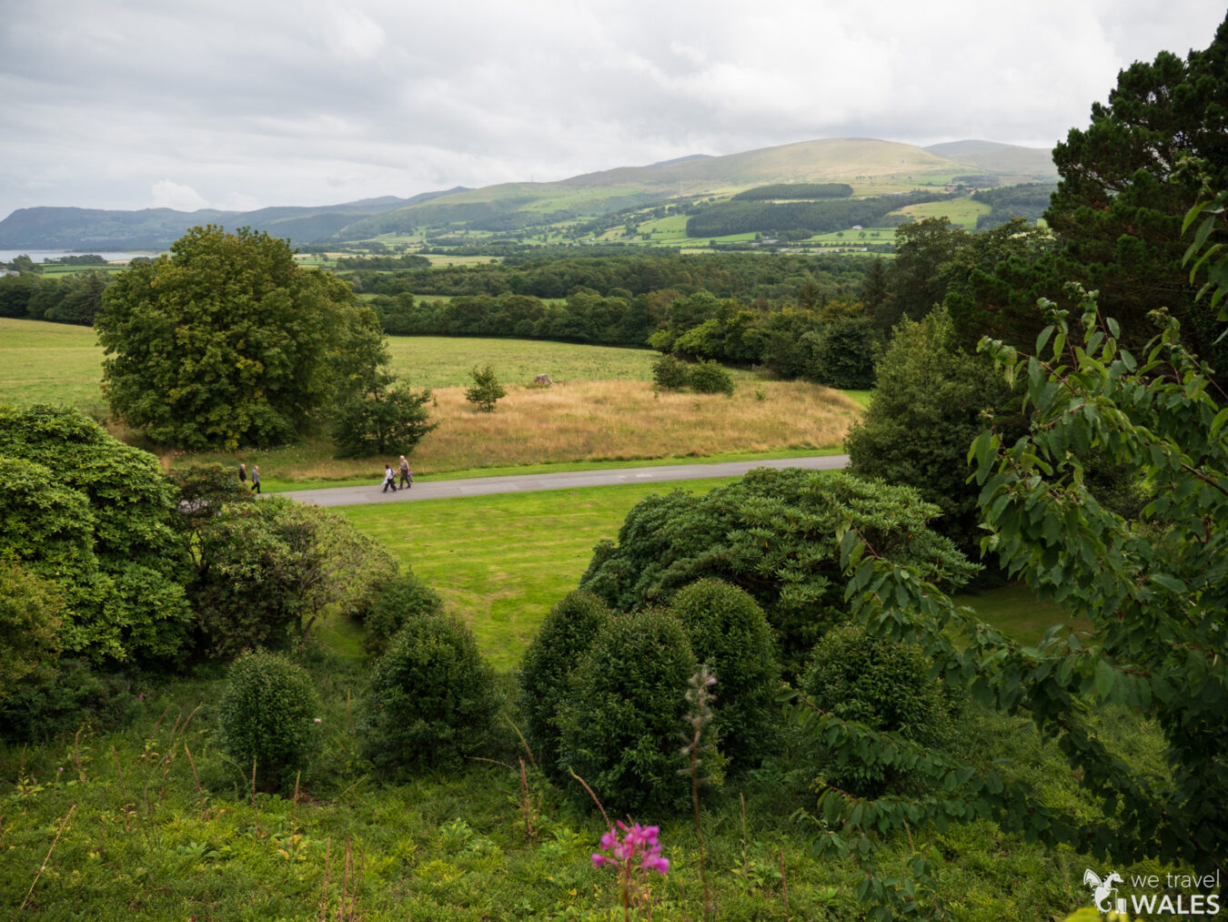 View of the garden from Penrhyn Castle