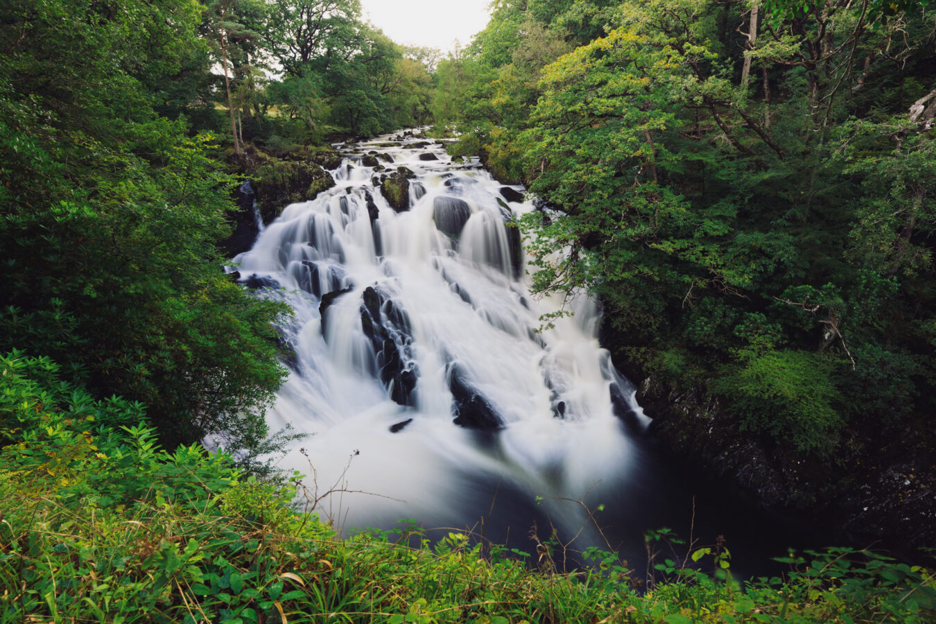 Swallow Falls